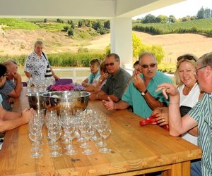 Wynuitstappie na Elgin